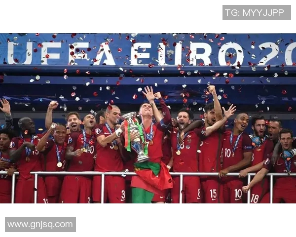 2016欧洲杯精彩进球全回顾央视网带你重温足球盛宴